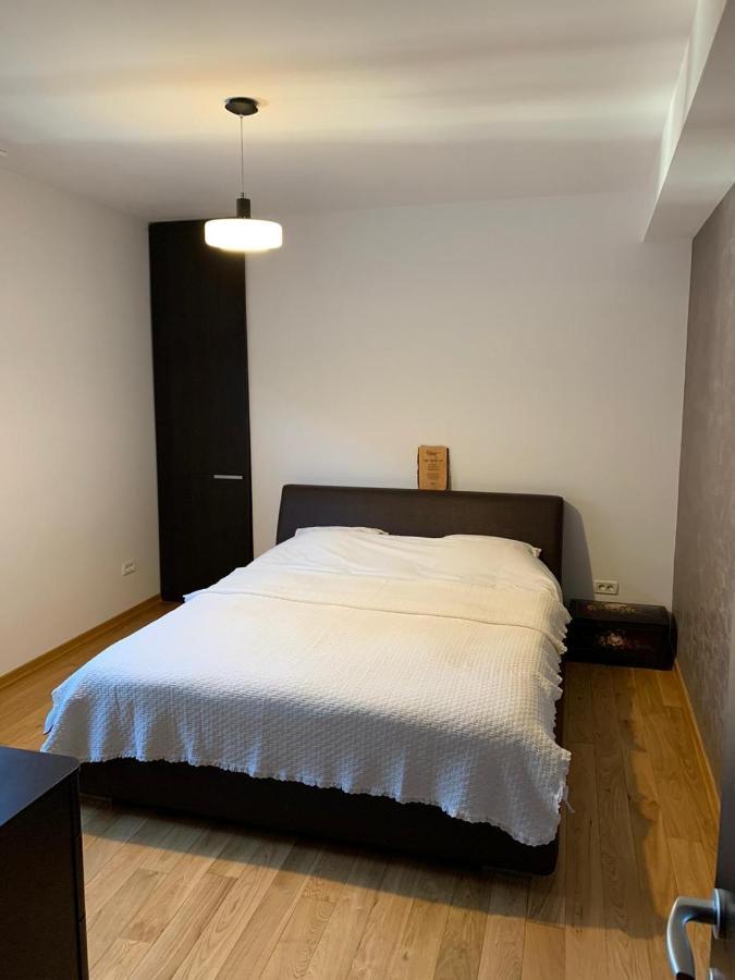 Cioplea View Apartment เปรดัล ภายนอก รูปภาพ